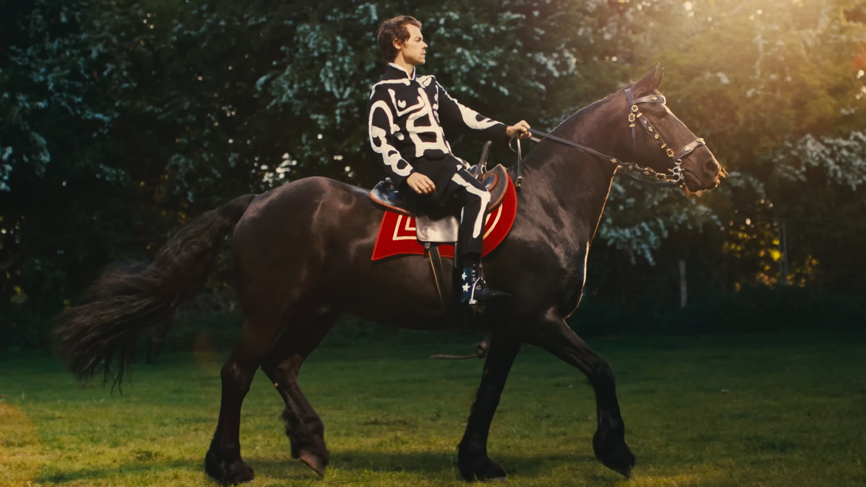 Harry Styles How pop star was taught to ride a horse for video image