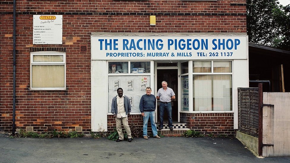 Магазин гоночных голубей