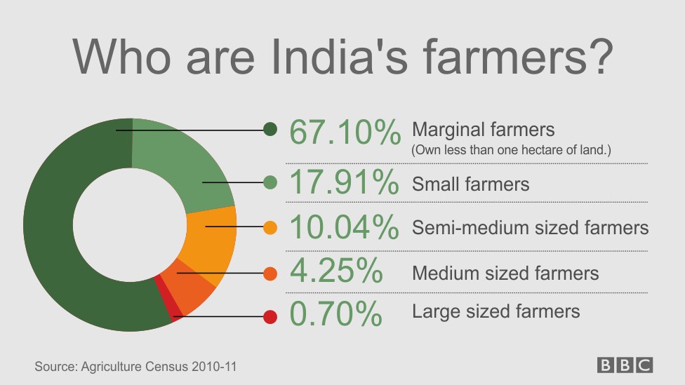 Why a problem of plenty is hurting India's farmers BBC News