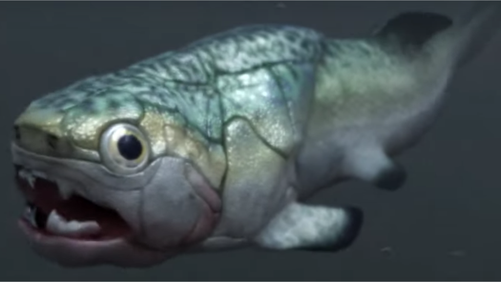 Representación artística de un pez gogo.