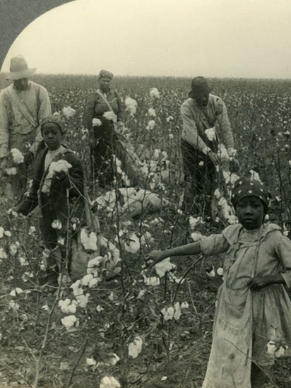 Plantación de algodón en Texas.