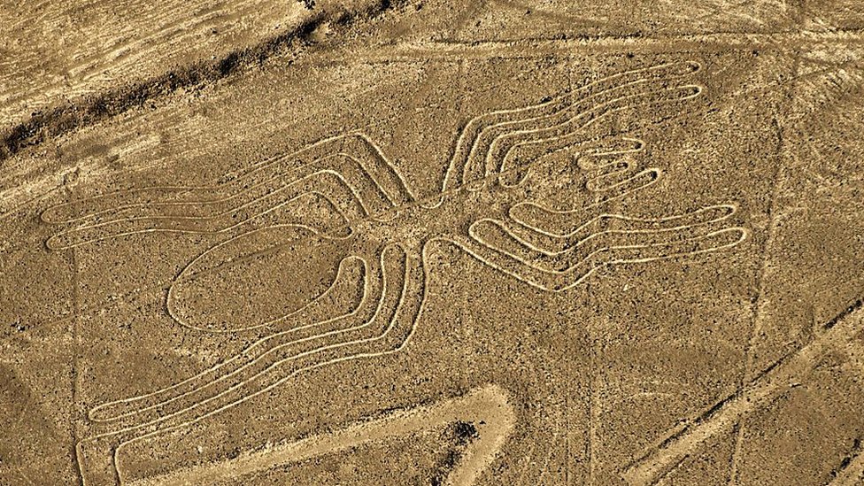 Hasta ahora no se sabe a ciencia cierta el propósito de los geoglifos de Nasca. Figura de una araña de 46 metros de largo