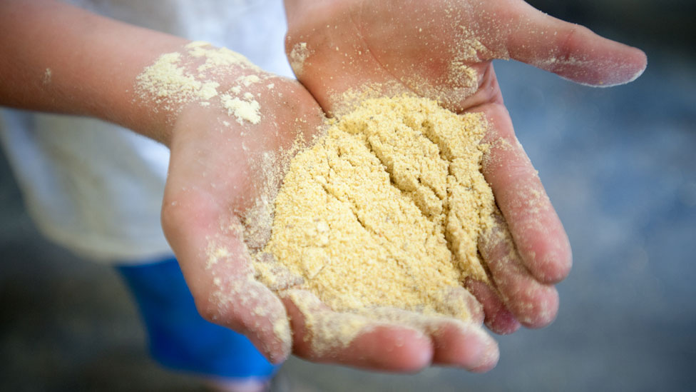 Unas manos sostienen harina de soja
