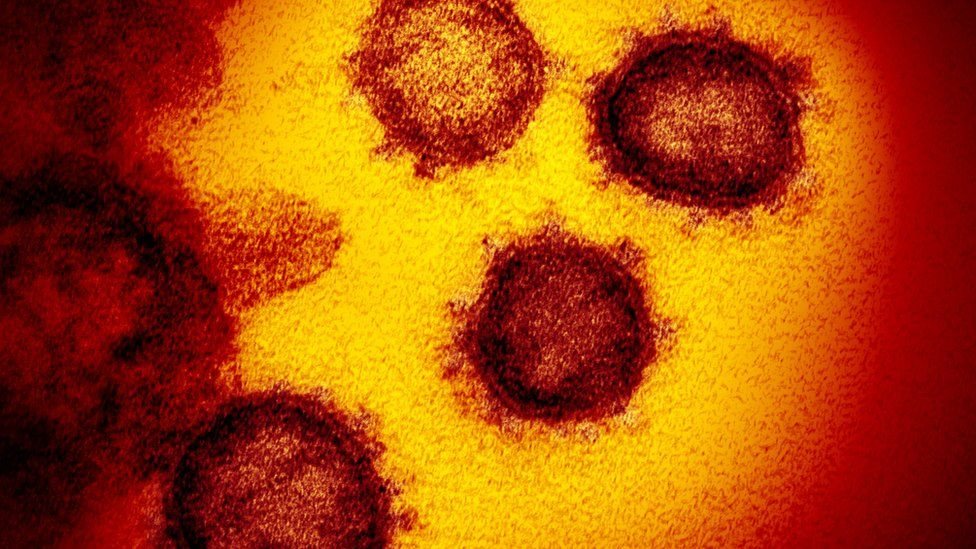 Imagen microscópica del coronavirus