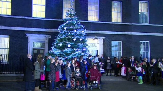 Downing Street Christmas tree 2015