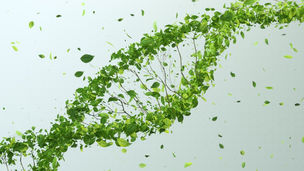 Una ilustración de una cadena de ADN hecha de hojas