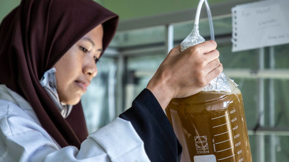Serpong laboratory testing on plant-derived biofuel