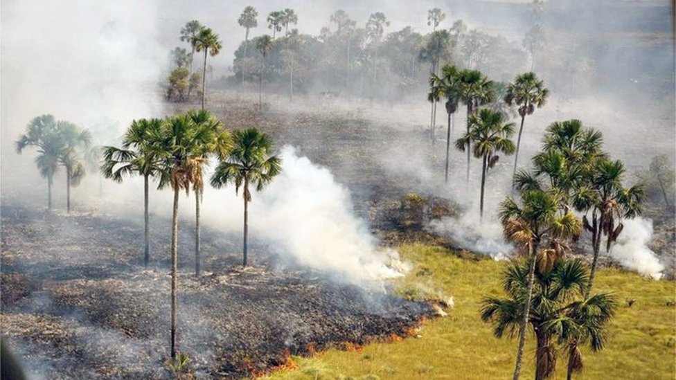 На этой рекламной фотографии, опубликованной Институтом сохранения биоразнообразия Чико Мендеса, показан вид с воздуха на территорию, пострадавшую от пожара в национальном парке Чапада-дос-Веадейрос в штате Гояс, на Среднем Западе Бразилии, 23 октября 2017 года.
