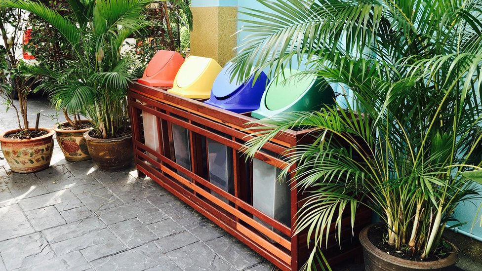 neat bins