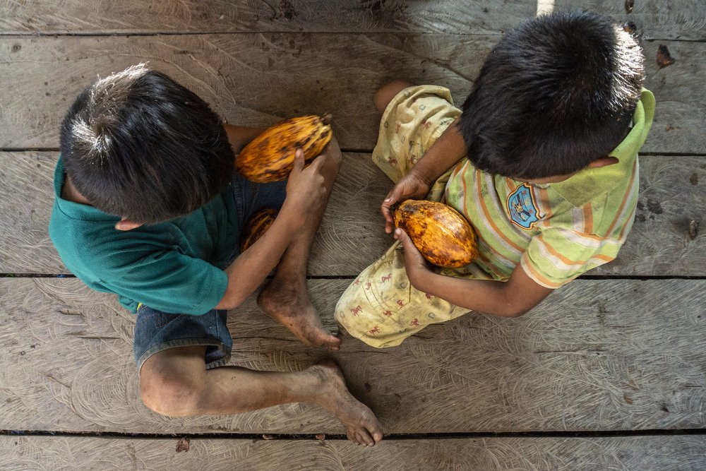 Дети в общине Вайкас играют со стручками какао