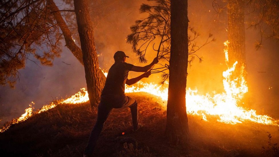 Čovek pokušava da ugasi šumski požar granom, severni Maroko, avgust 2021.