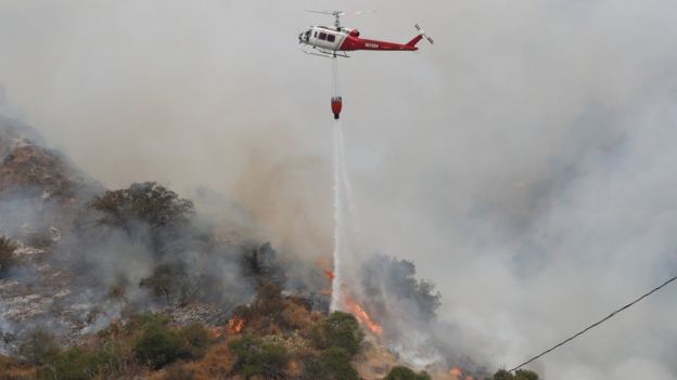 加州今年頻傳森林大火（Credit: Reuters）
