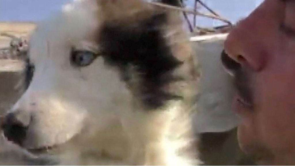 Turkey-Syria earthquake: Dog rescued after 23 days under rubble