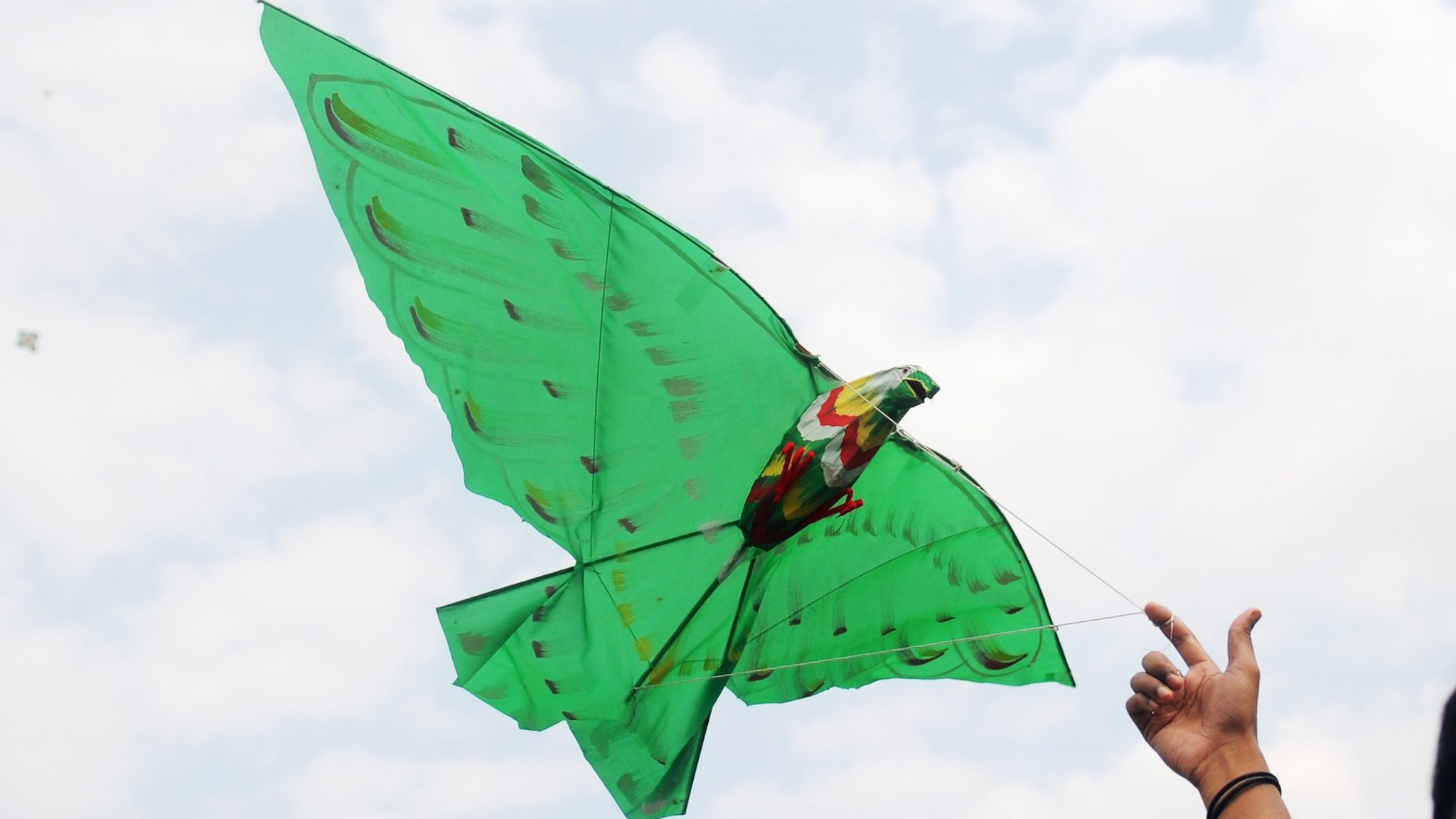 Kite Fighting for Kids through Books and More