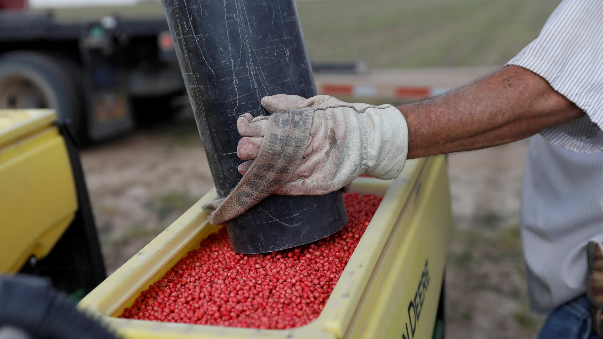 China buys US soybeans for first time since trade war