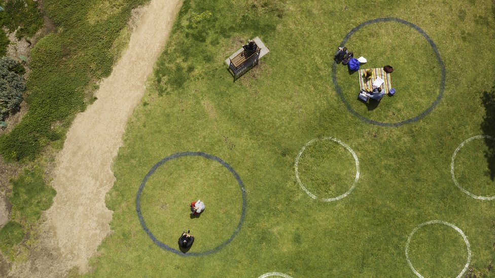Vista aérea de círculos dibujados en el césped para marcar el distanciamiento social en Melbourne, en el punto álgido de la pandemia