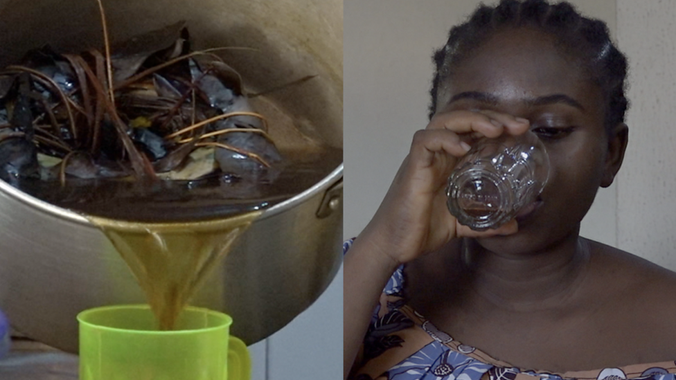 Aju Mbaise: Origins, Ancient Herbal Secrets, and Cultural Significance in Igbo Traditional Medicine || Nnewi City