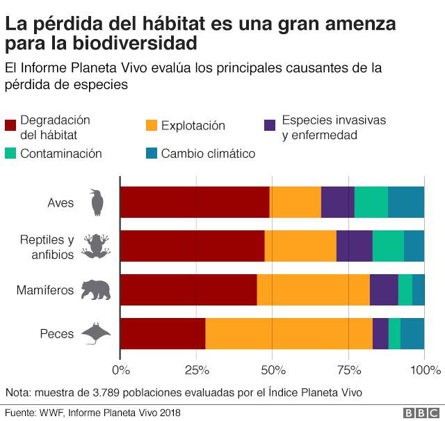 Gráfico pérdida de hábitat natural.