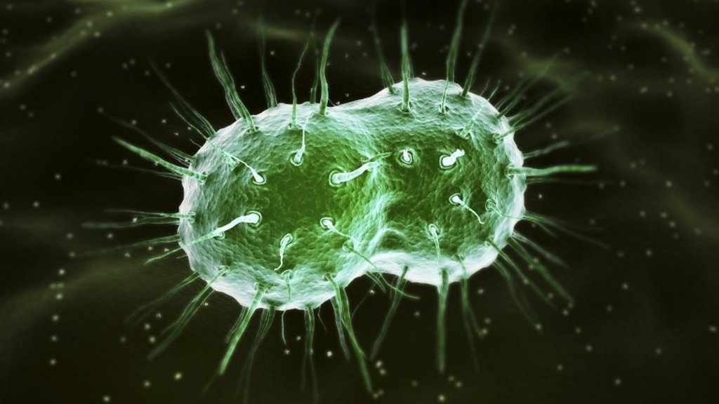 Super gonorrhoea: Why the STI could become untreatable
