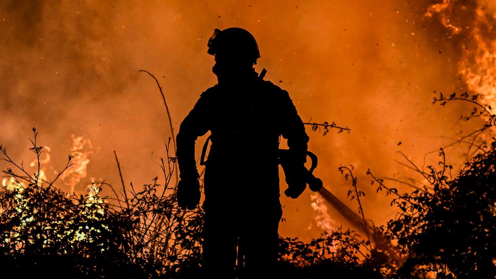 vatrogasac gasi požar u šumi