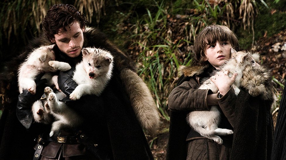 Rob i Bren Stark sa mladuncima vukova u prvoj sezoni
