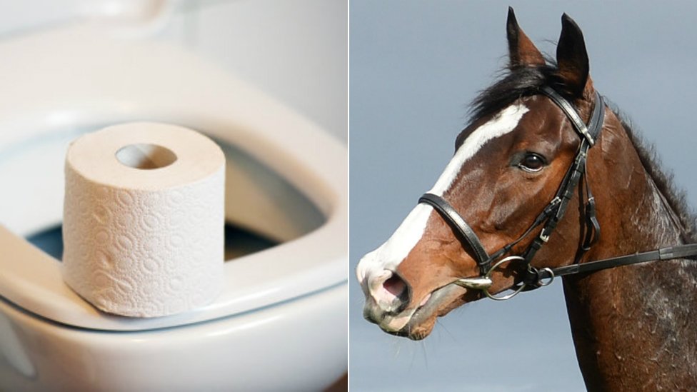 Туалет и лошадь