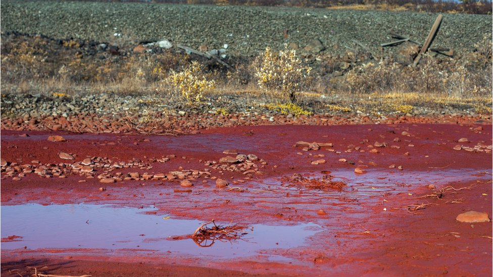 На снимке, сделанном 8 сентября 2016 года, видны лужи ярко-красной загрязненной воды на берегу реки Далдыкан в районе города Норильска