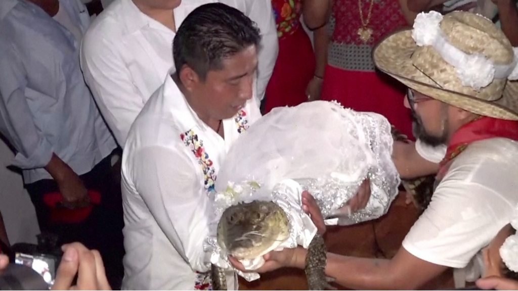 Watch: Mexican mayor weds crocodile in harvest ritual