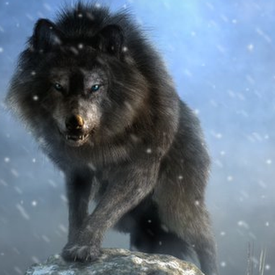 Illustration of an ancient wolf