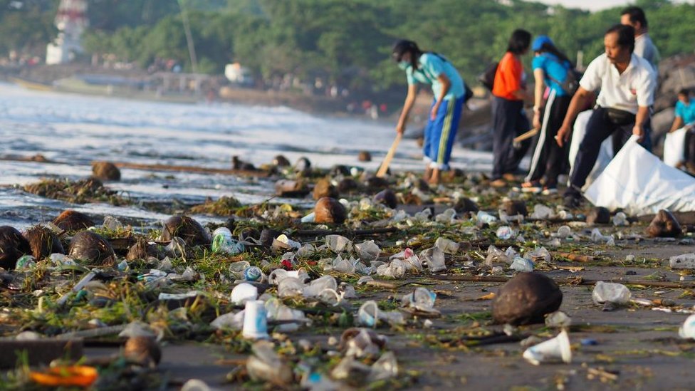 Voluntarios limpiando una de las playas de Bali.