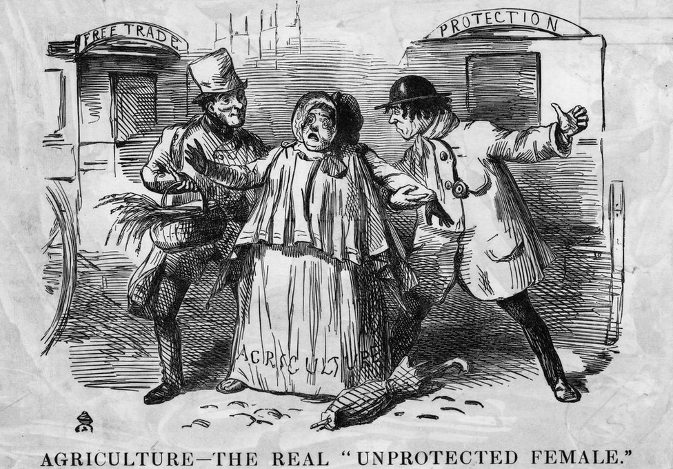 漫畫，一個標有「農業」的鄉村婦女被兩個男人「自由貿易」和「保護」糾纏的情景。1846年Punch漫畫