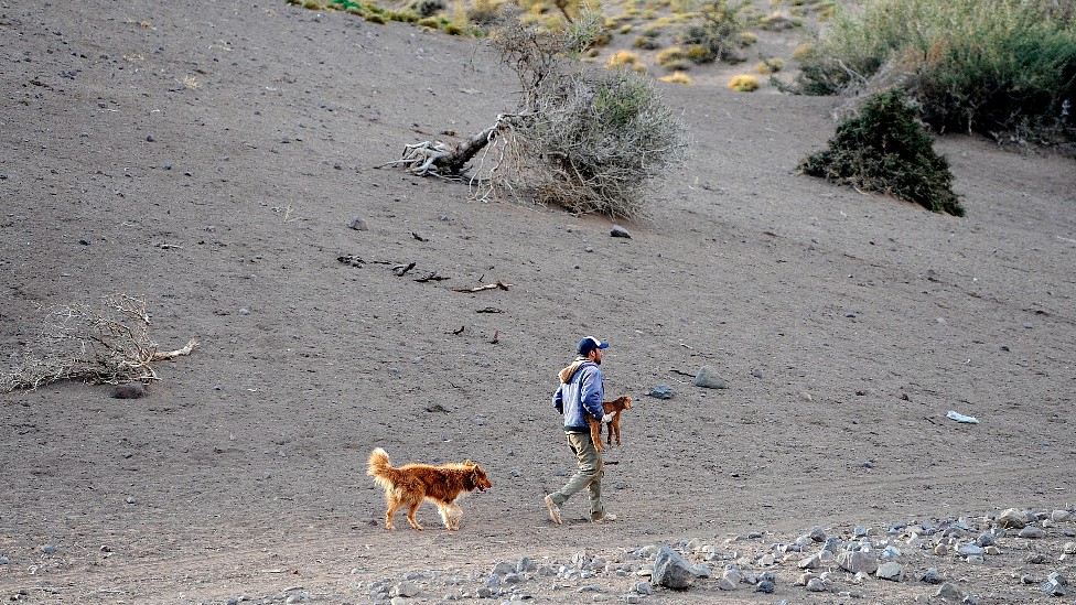 Un hombre camina por un terreno seco con su perro y una cría de cabra en Mendoza, Argentina