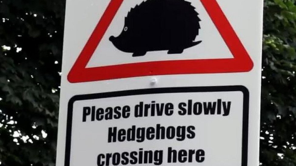 HEDGEHOG CROSSING SIGN Classic Metal Signs ubicaciondepersonas.cdmx