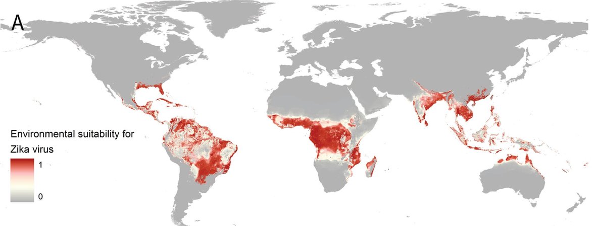 Глобальная карта угроз вируса Зика