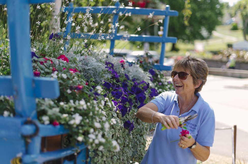 Волонтер из Кингсбриджа ведет выставку цветов