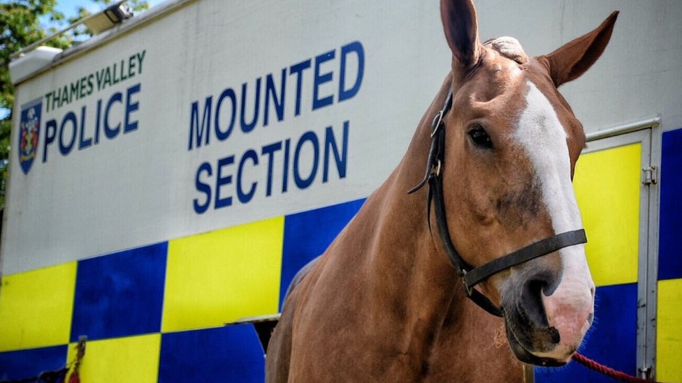Полицейская лошадь в долине Темзы, Луна