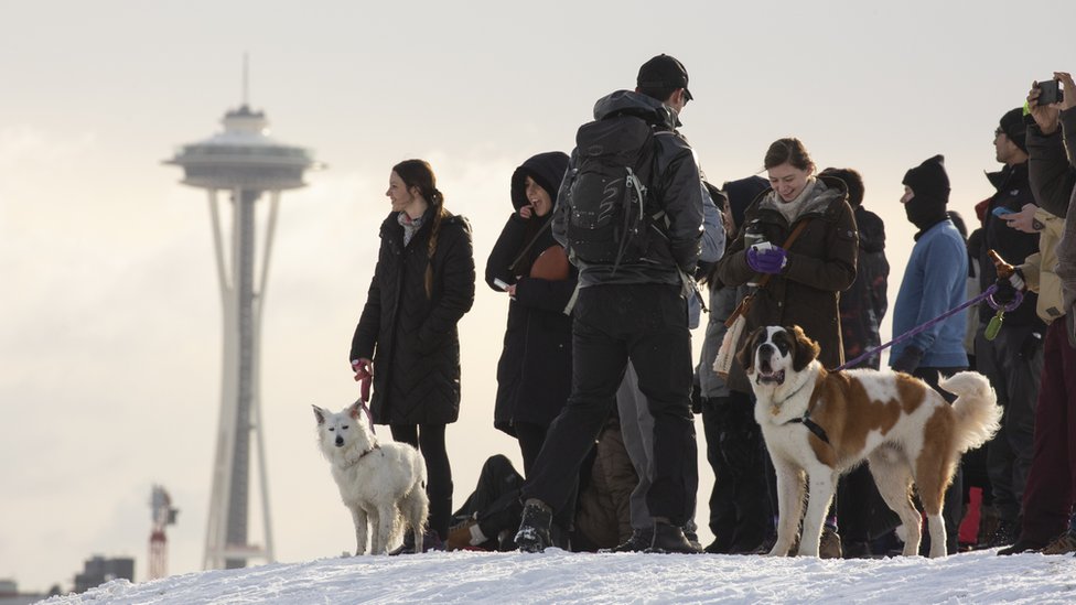 People on top of hill with Seattle Space Needle visible in background