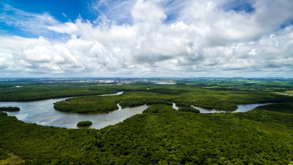 Amazônia, em foto de 2017