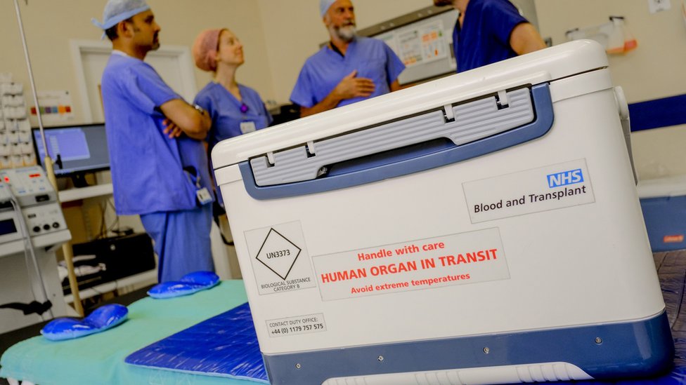Коробка для трансплантата в операционном зале
