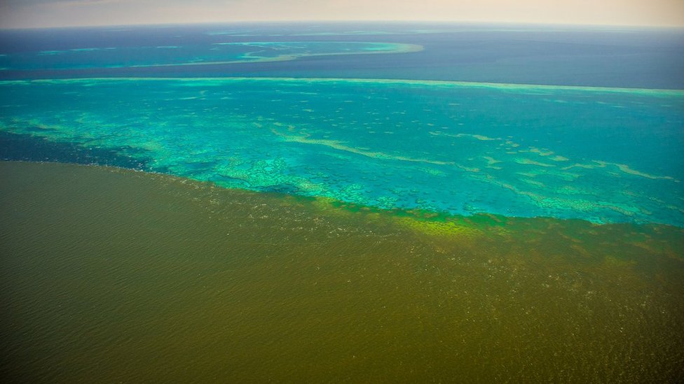 Australian floods send dirty water across Great Barrier Reef