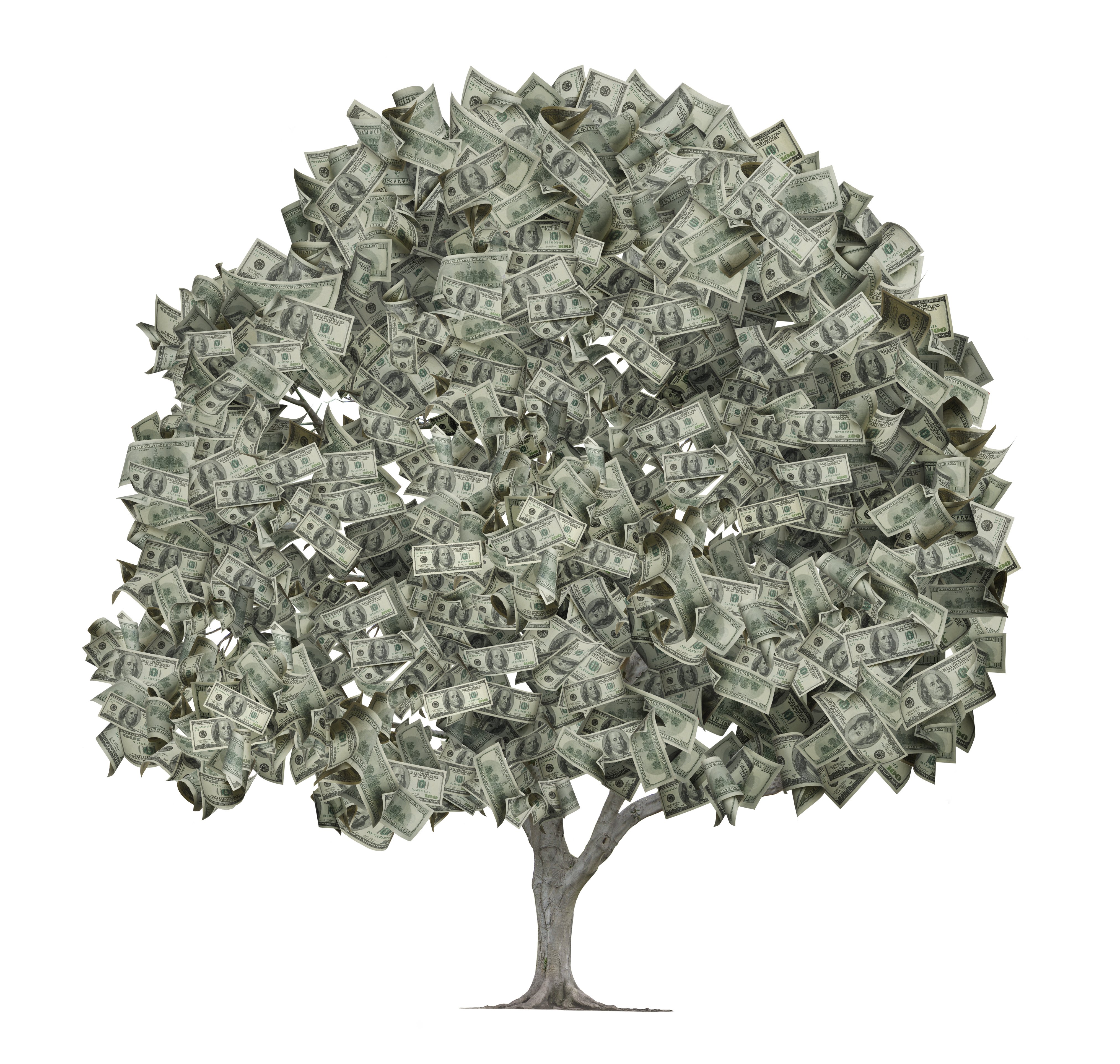 Иллюстрация с изображением денежного дерева