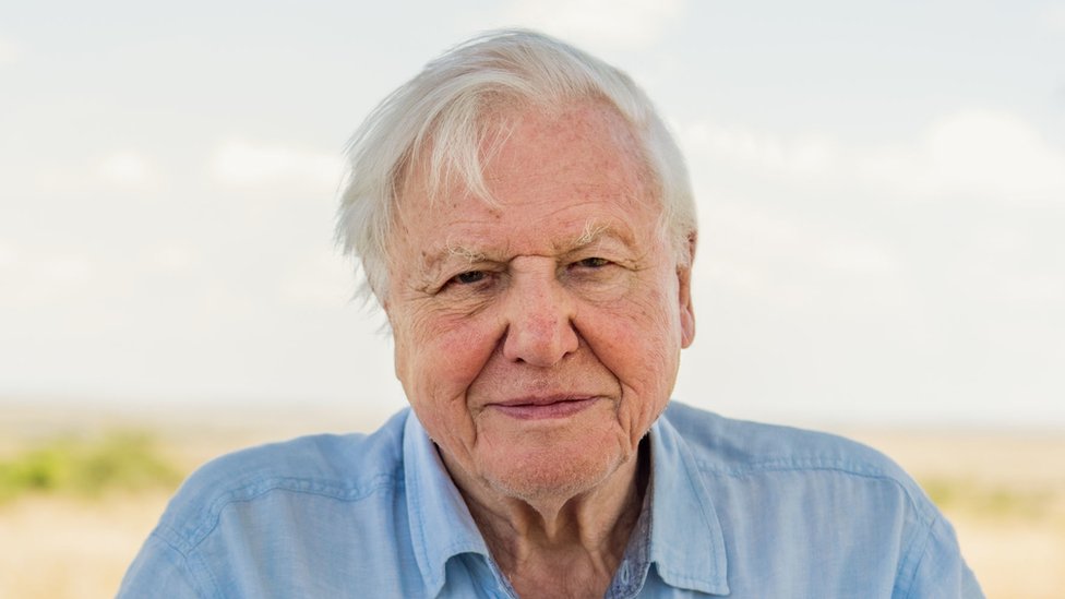 Sir David Attenborough joins Instagram to warn 'the world is in trouble' - BBC News