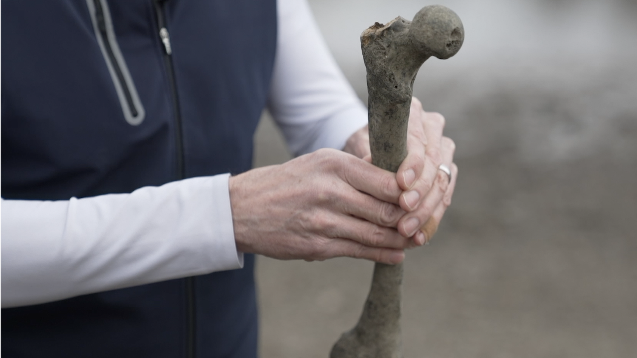 The 5,000-year-old human bone found in the River Thames