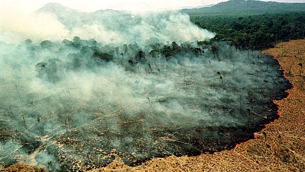 Yılbaşından bu yana Amazon bölgesinde 72.000 orman yangını tespit edildi.