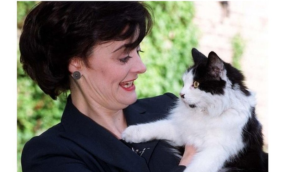 The New Pms First Job Impress The Cat Bbc News