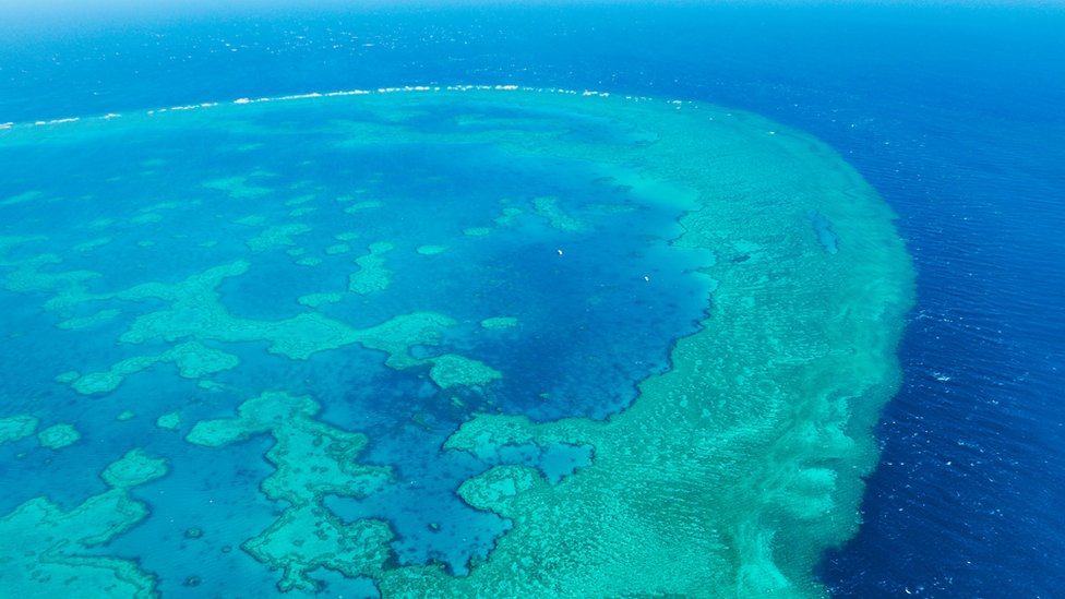 Great Barrier Reef: One million tonnes of sludge to be dumped