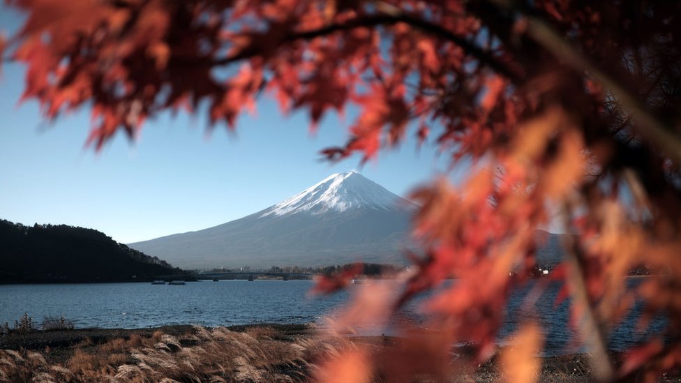 100 miles around Mount Fuji on 'Asia's most important' race - The Japan  Times