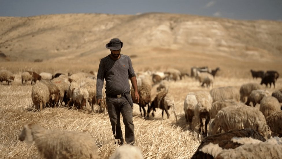palestinski pastir