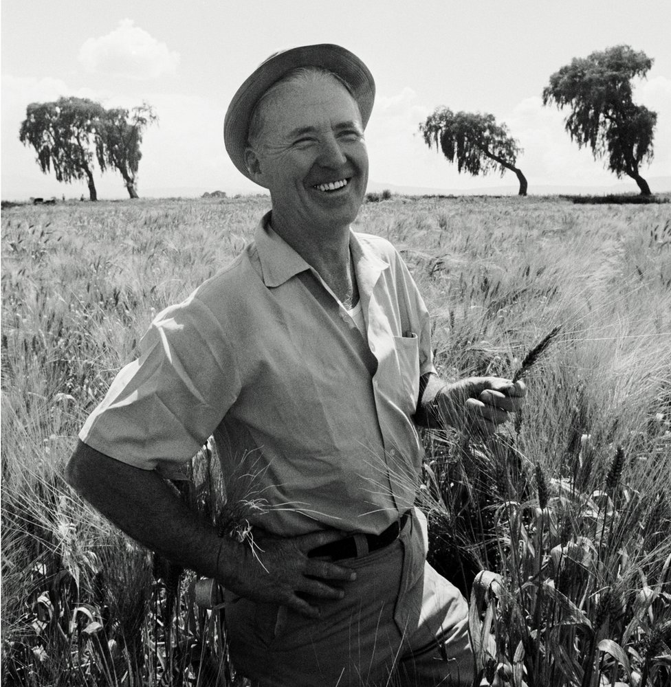 Borlaug je za svoj rad dobio Nobelovu nagradu za mir