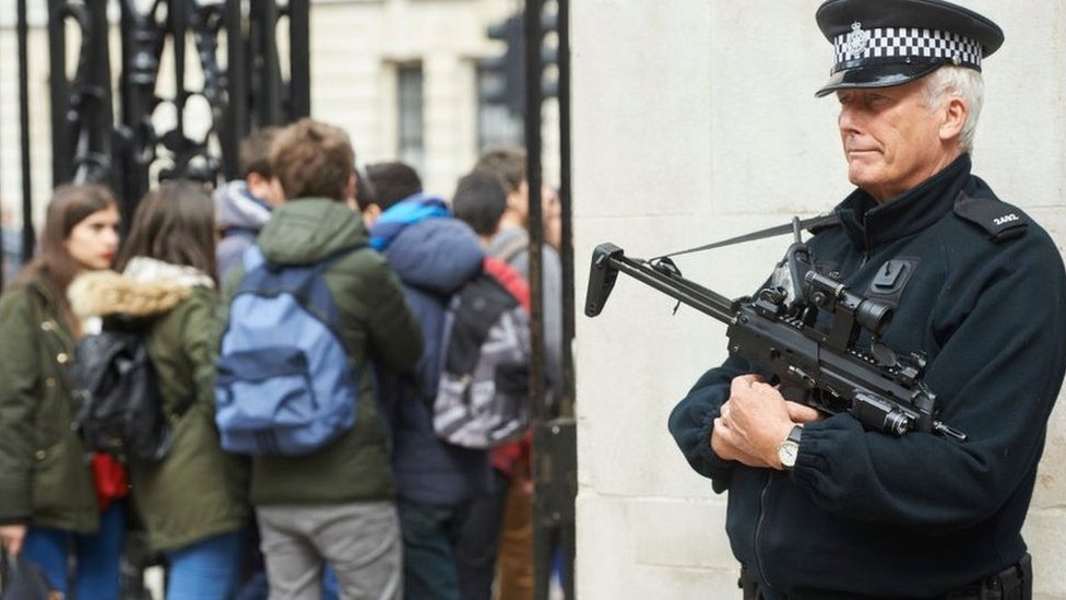 Офицер полиции по огнестрельному оружию в Вестминстере